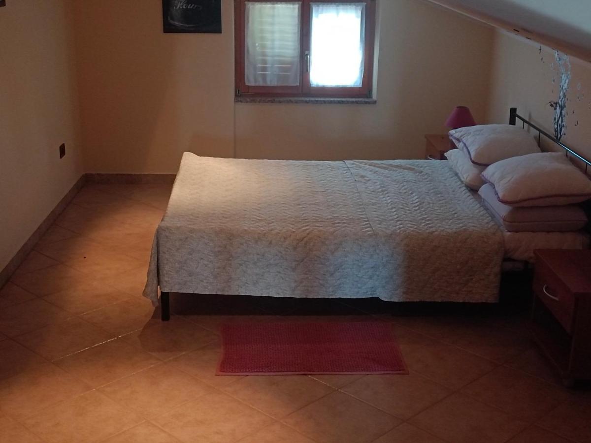 Apartment Analaura أوماغ المظهر الخارجي الصورة